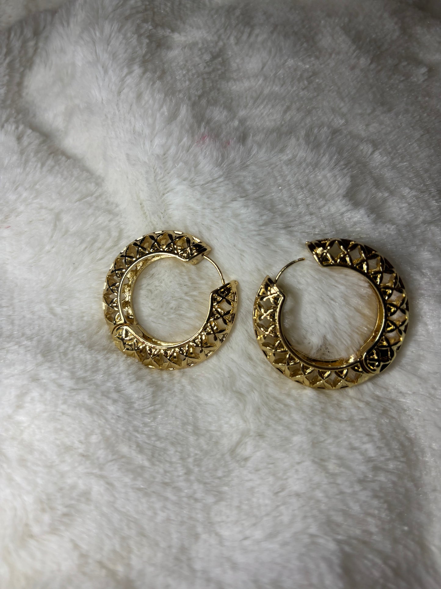 Stylish Hoops